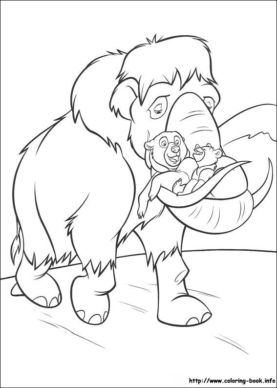 Brother Bear coloring picture